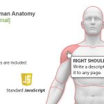 Interactive Human Anatomy - WordPress Plugin