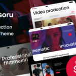 Playsoru – Video Production WordPress Theme
