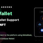 Smart NFT - MultiWallet (Addons)