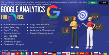 Google Analytics plugin for RISE CRM